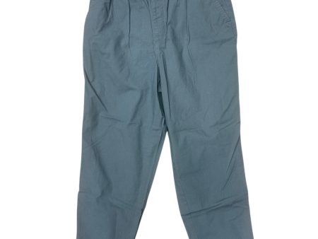 Pants Cargo & Utility By Loft In Blue, Size: 4 For Discount